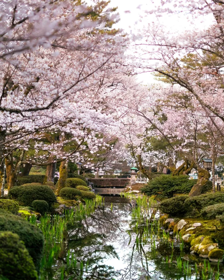 A peaceful Japanese landscape with traditional architecture and mountain scenery.