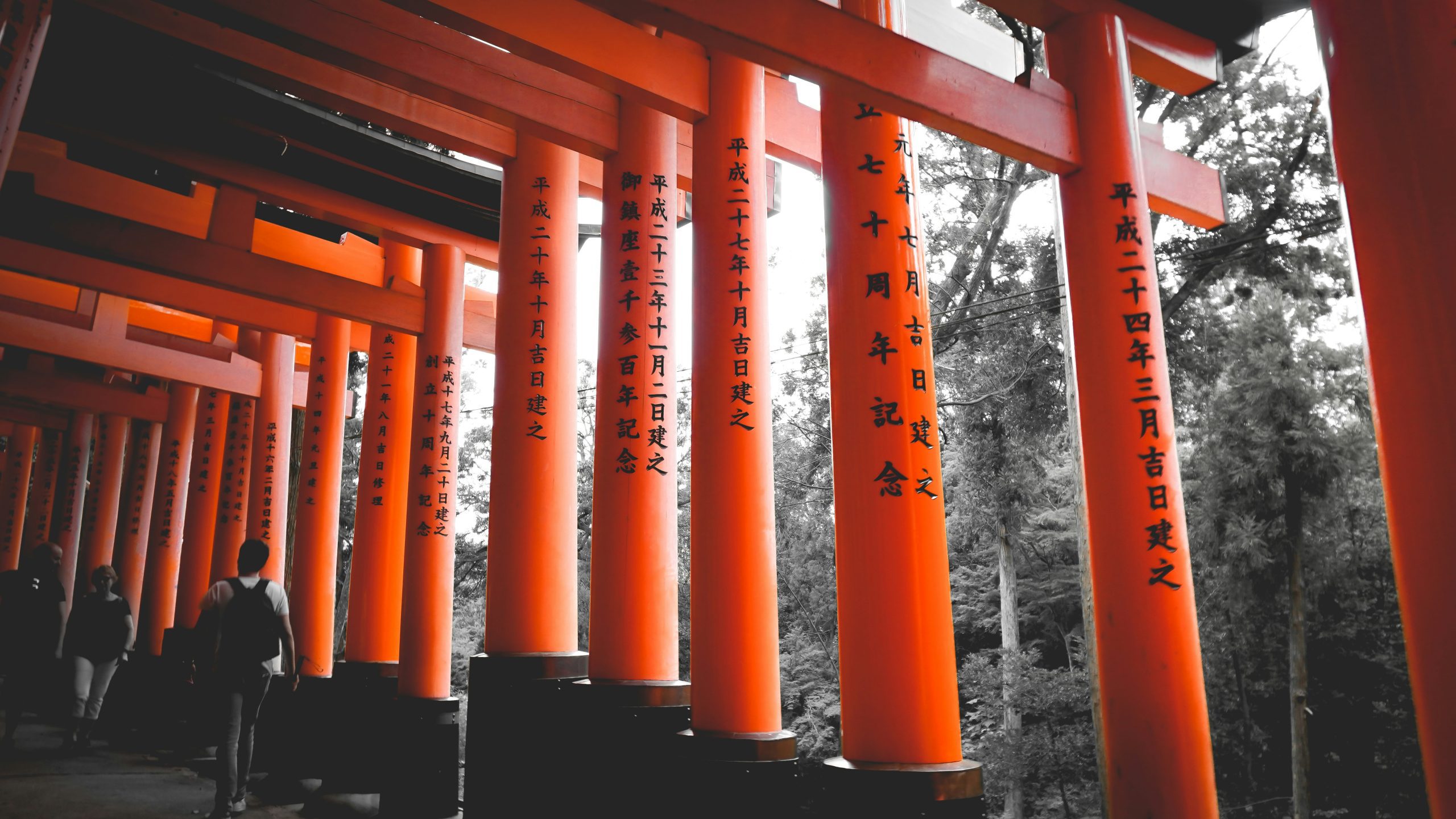 Visitors walking through the iconic red torii gates of Fushimi Inari Shrine, Kyoto.