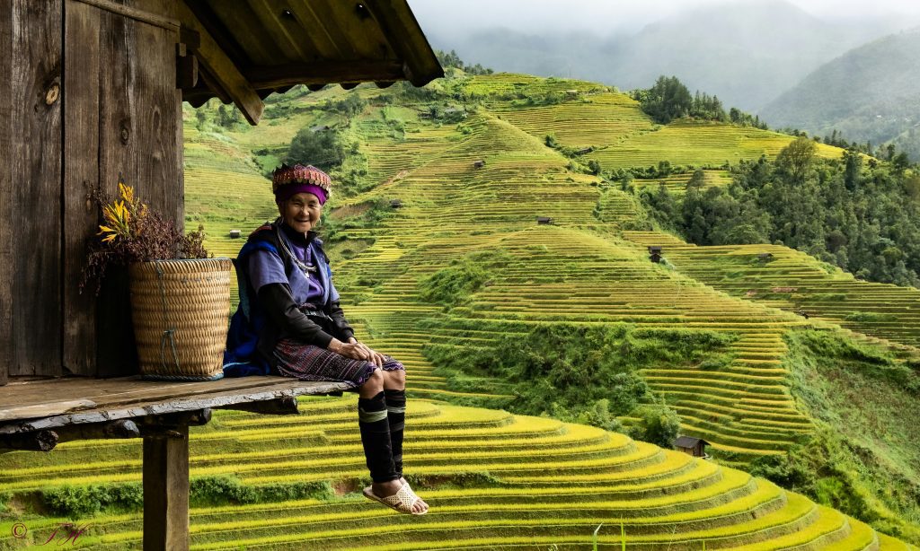 Elderly woman sitting by lush green rice terraces in Mu Cang Chai, Vietnam, under a wooden shelter on a foggy day.